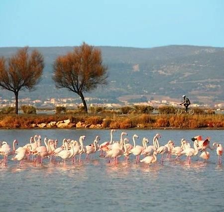 Appart Beziers Plage Exteriér fotografie