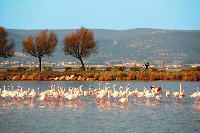 Appart Beziers Plage Exteriér fotografie